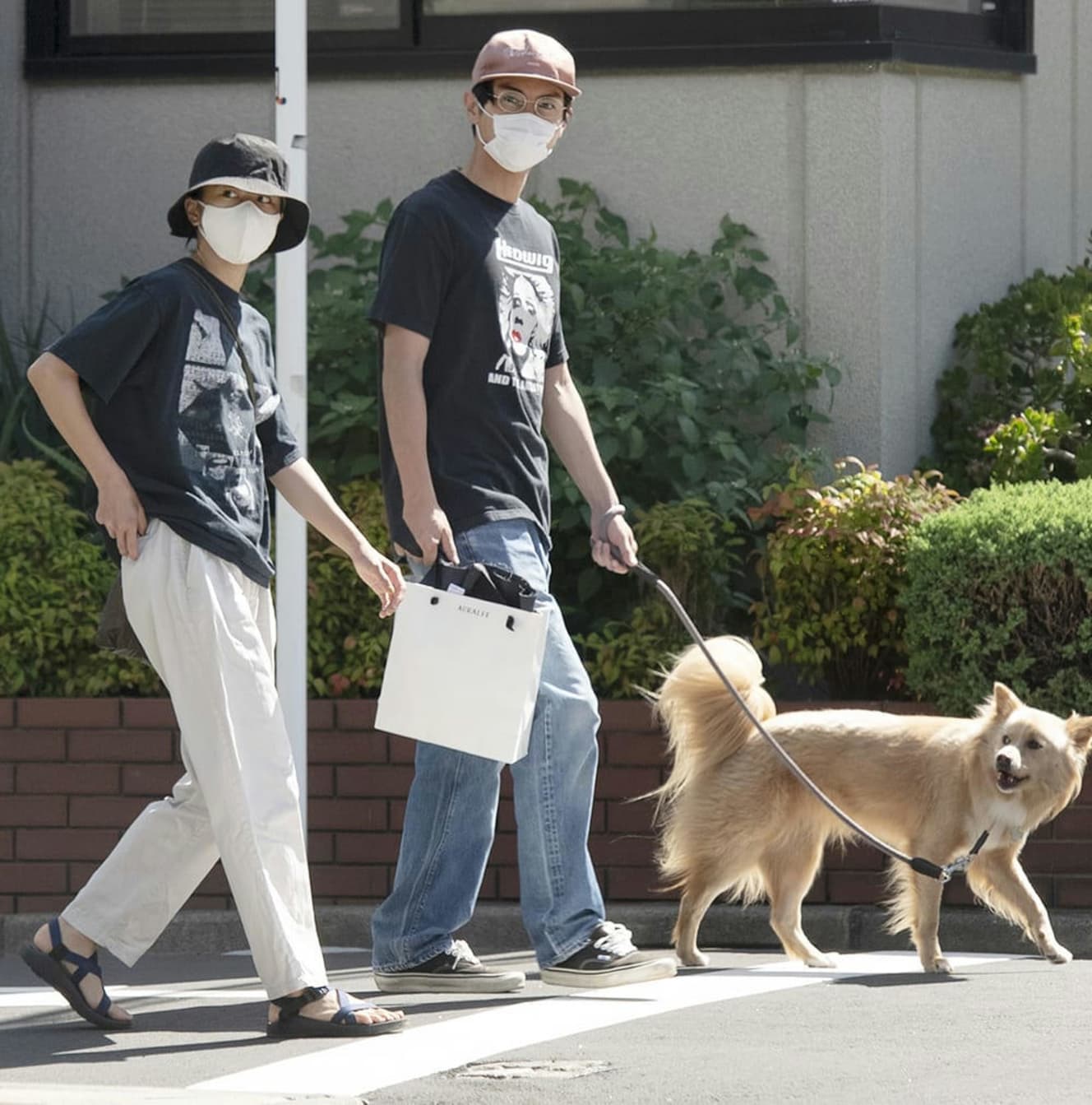 黒島結菜と高良健吾が交際中のワンショット。ワンちゃんは黒島の愛犬「コハダちゃん」