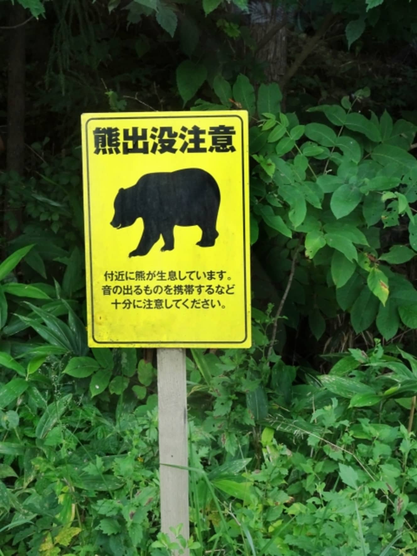 クマ出没注意の看板は北海道内では珍しくない