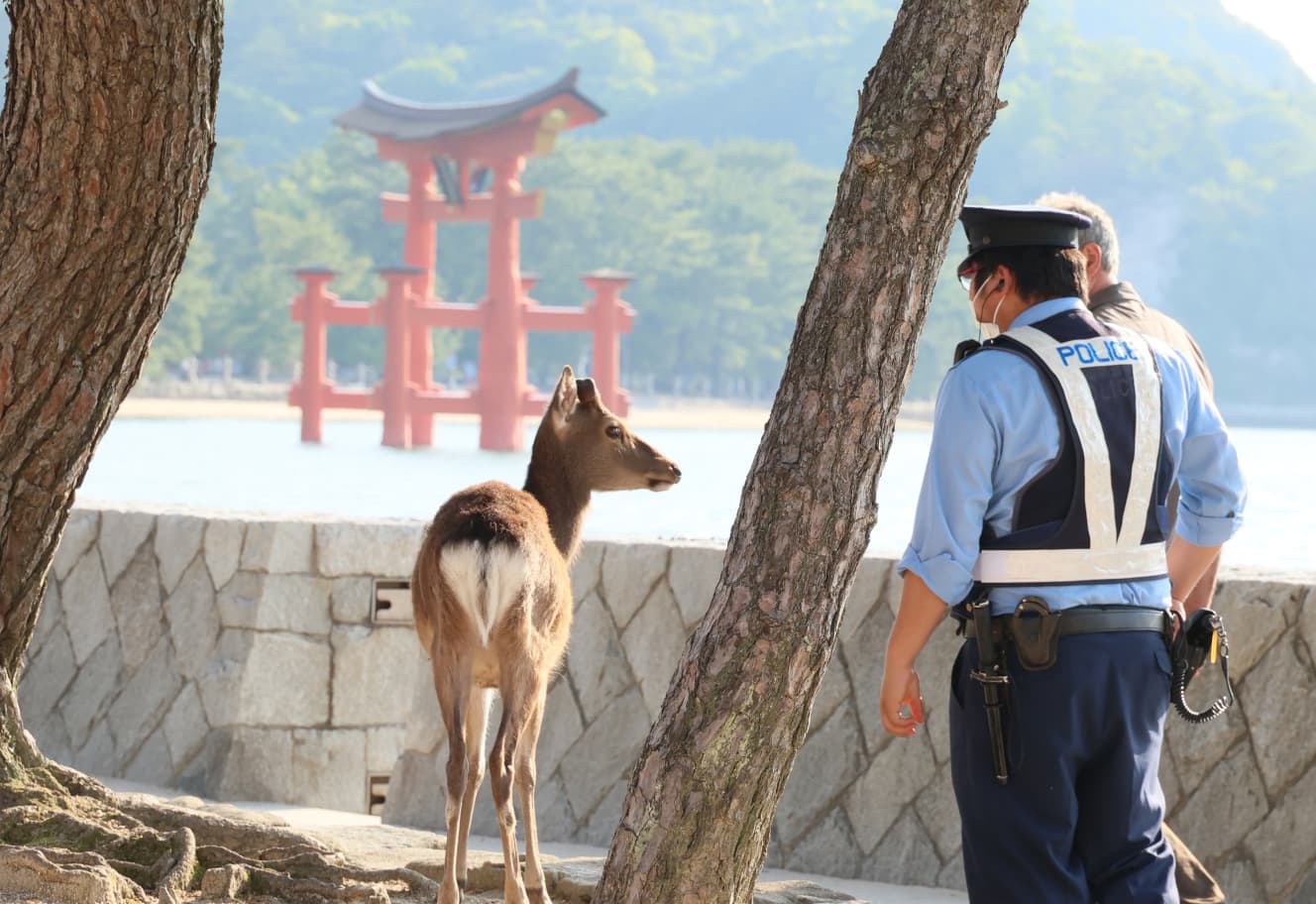 5月に開催されたG7広島サミットでは、参加した各国首脳が広島県廿日市市・宮島を訪れた（PHOTO：アフロ）