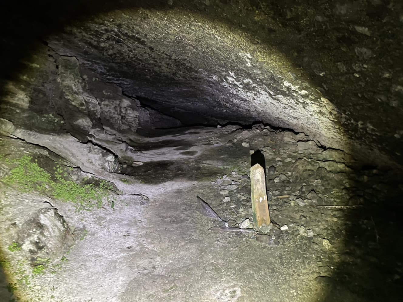 洞窟の中にあった謎の杭。洞窟は奥に進むほど天井が低くなっていた。また、奥には天井に大量のコウモリがいたため、最奥にたどり着けなかったという