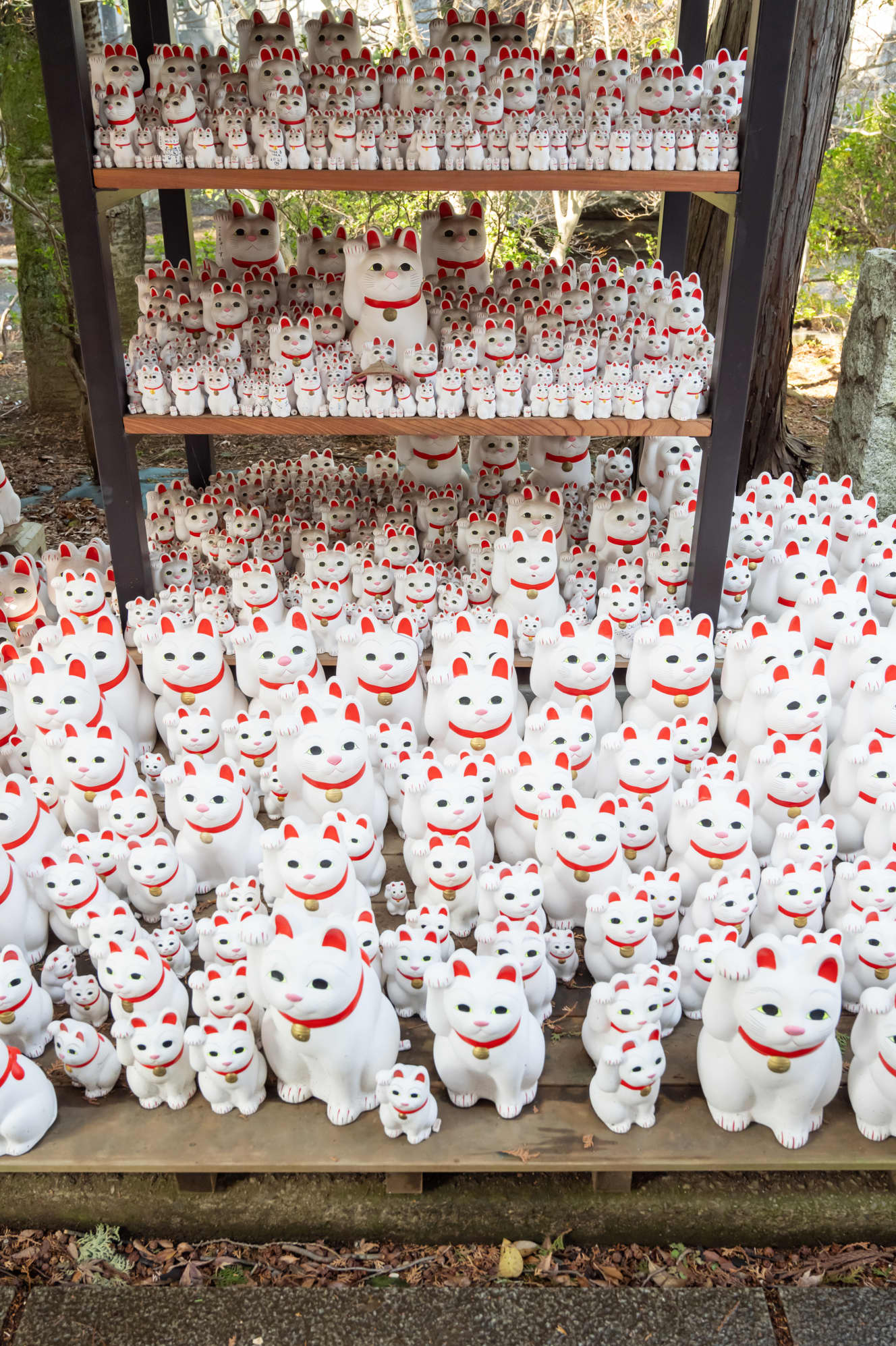 奉納棚にびっしり並ぶ招き猫。寺では家に持ち帰って願い事が叶ったら奉納することをすすめているが、持ち帰らずに奉納する人も多いという