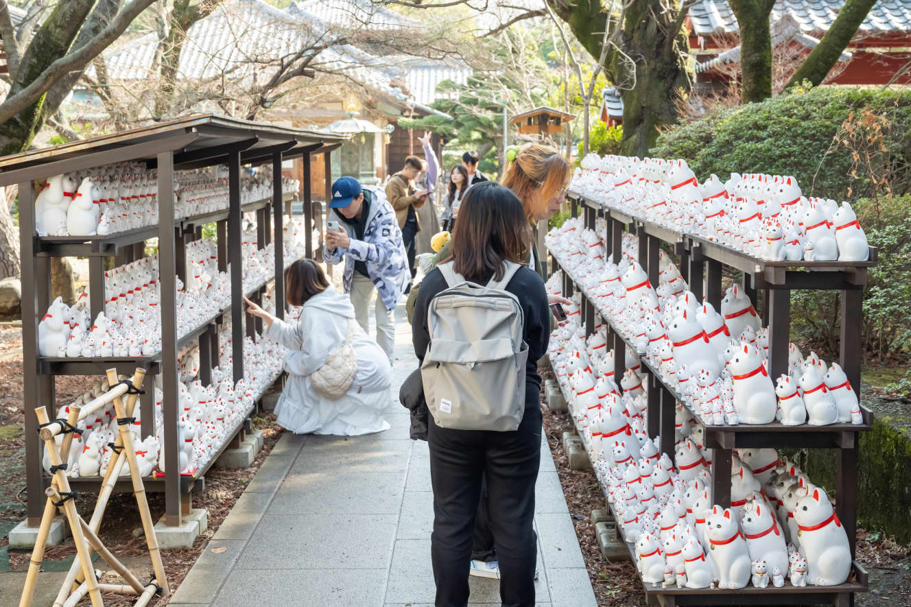 奉納棚にびっしり並ぶ「招き猫」を興味深く眺める海外からの観光客（PHOTO：各務あゆみ）