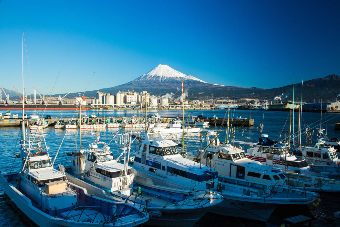 静岡県・田子の浦からの富士山（PHOTO：アフロ）