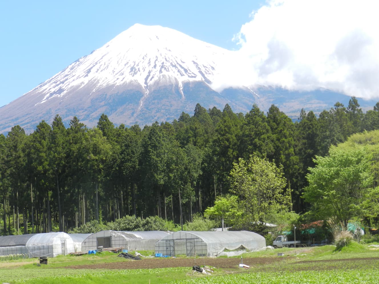 村山古道入り口があるのは富士宮市村山の集落。「ここから登るようになったのは、湧水があったからと考えられています」