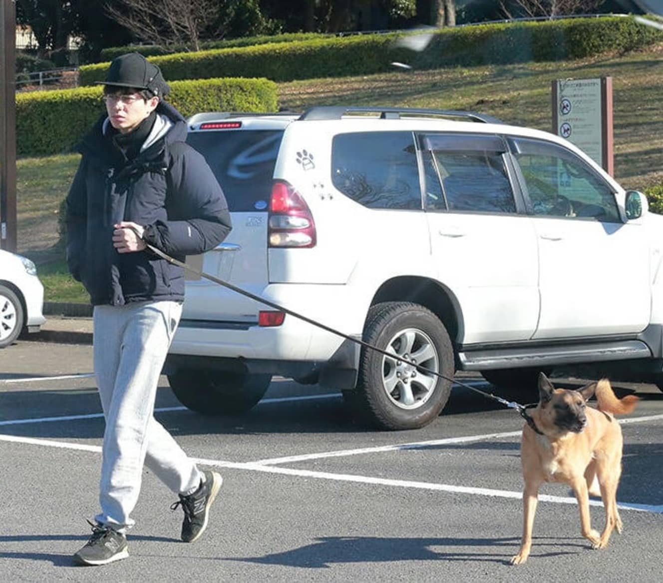 離婚前、杏の愛犬を散歩させる東出。犬好きなのは今も変わらず、現在も知人から引き取った大型犬を飼育している