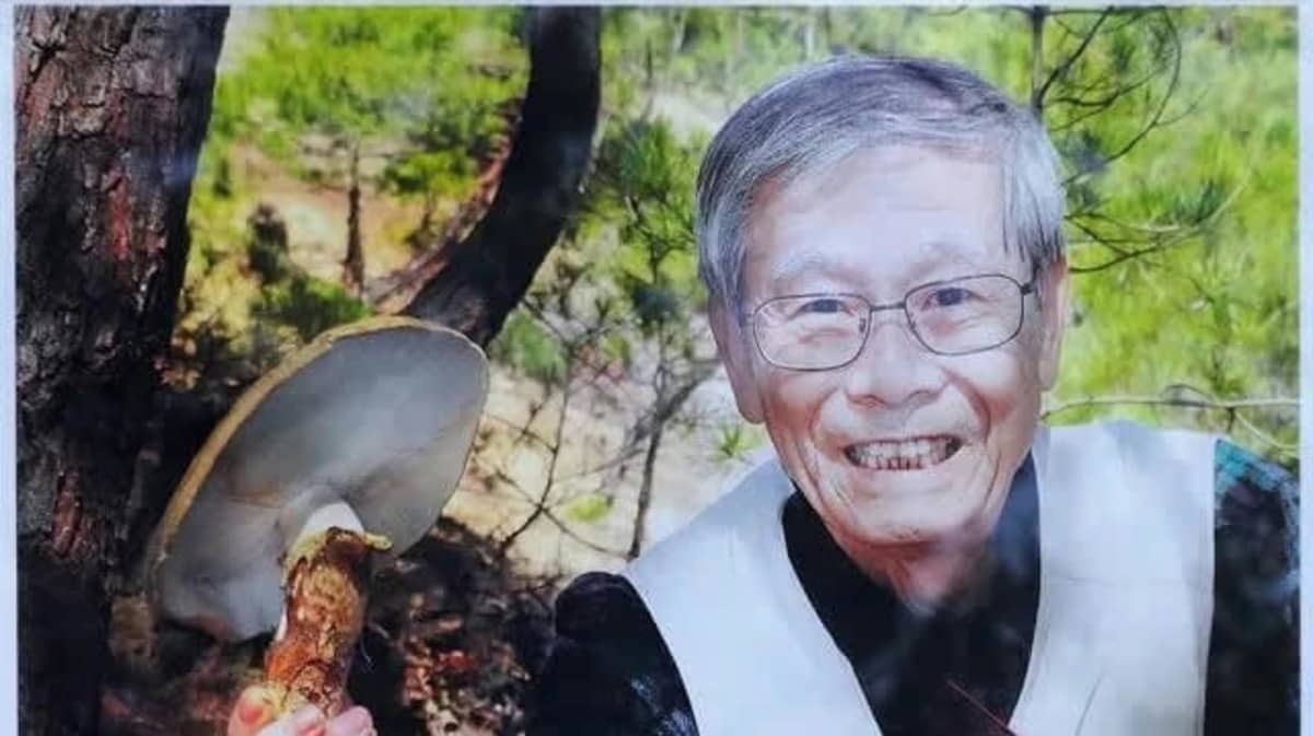 さよならマツタケ博士！松茸養殖に人生を捧げた「ある男の生涯