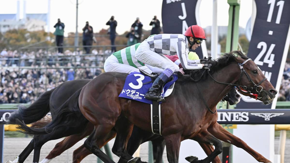 2024スポーツ名場面 日本中が感涙！】ドウデュース ジャパンカップで