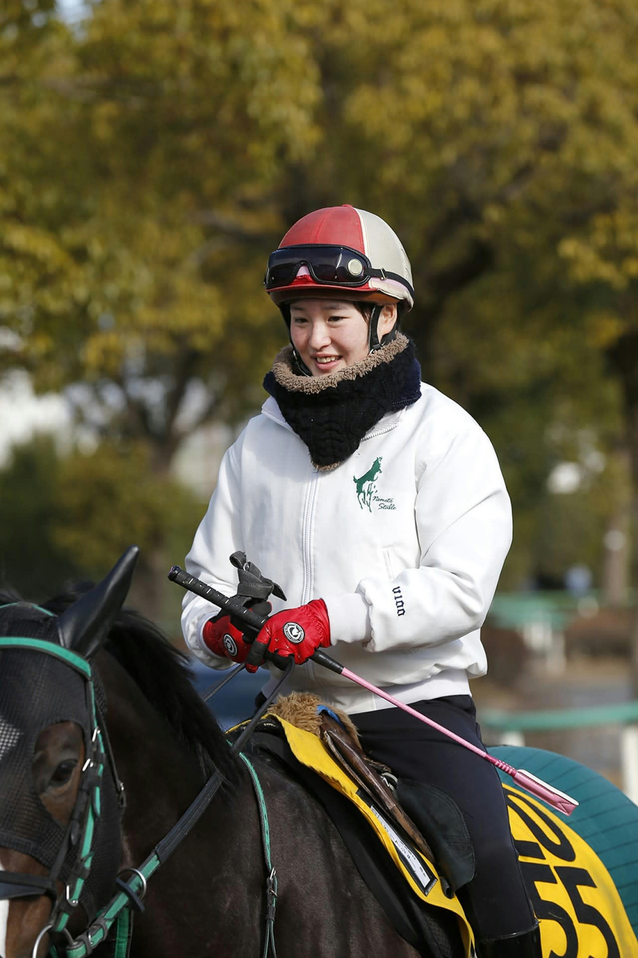 【激レア】藤田菜七子 騎手　直筆サイン 本人手渡し 美品　JRA 激レア】藤田菜七子 騎手 直筆サイン 本人手渡し 美品 JRA 2025