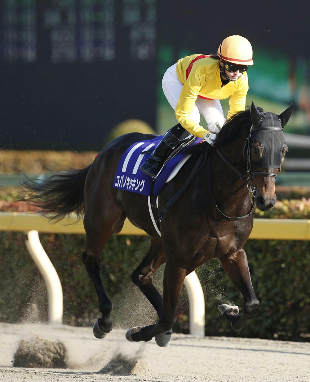 藤田菜七子が初のG1レースで快挙！ 次の計画は米国デビューだ | FRIDAY