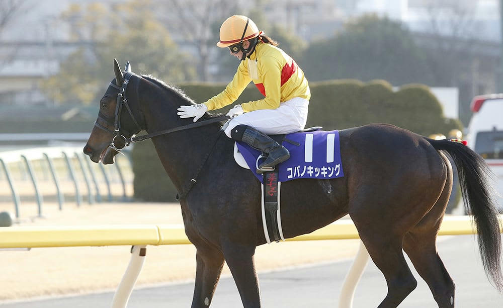 藤田菜七子が初のG1レースで快挙！ 次の計画は米国デビューだ | FRIDAY