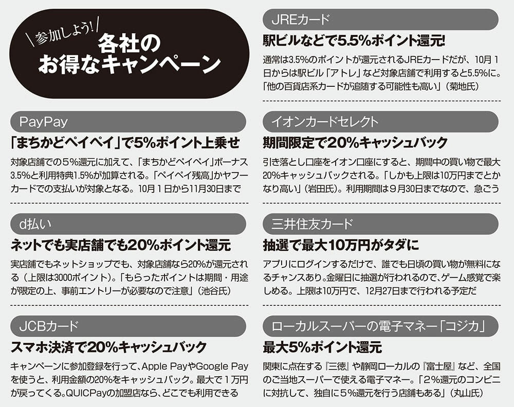 消費税10％対策 ポイント還元で得するための鉄則はこれだ | FRIDAYデジタル