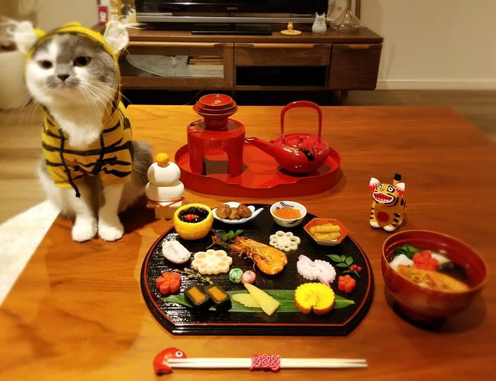 猫さんと ひな祭り 猫型おひな様…！ひな祭りのコスプレにゃんこの「映えな日常」 | FRIDAY