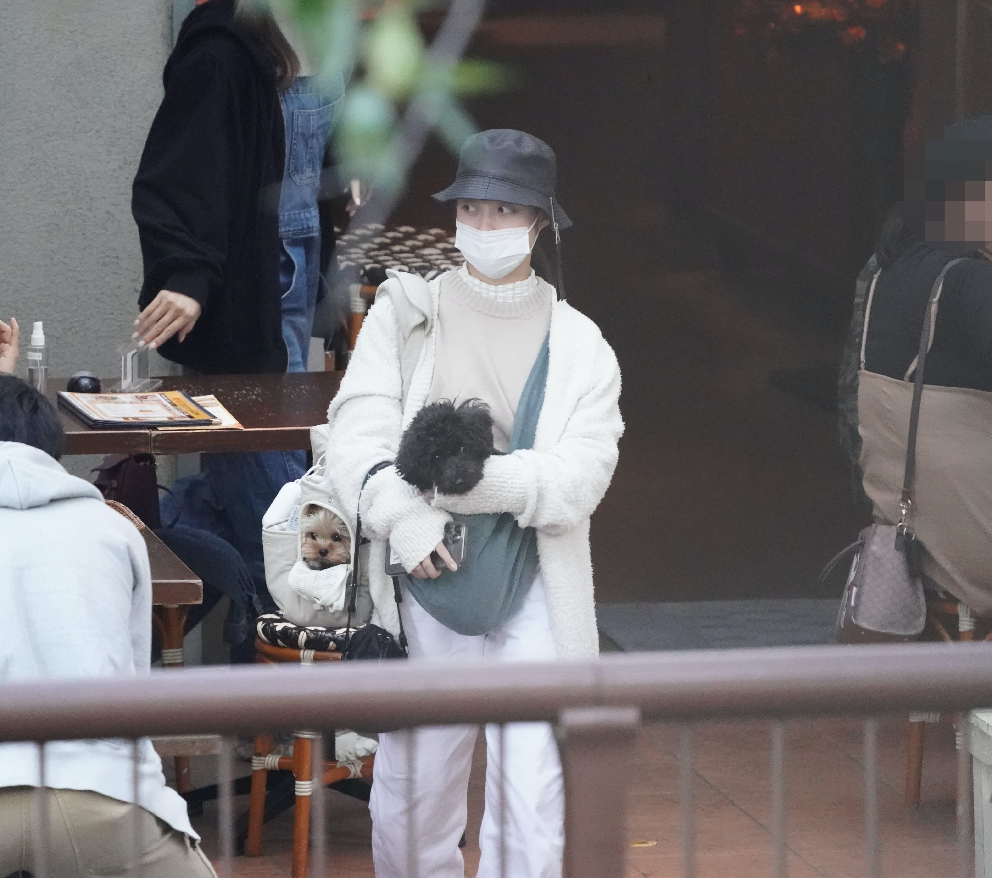 活動歴および当時の関連ビジュアル記録
