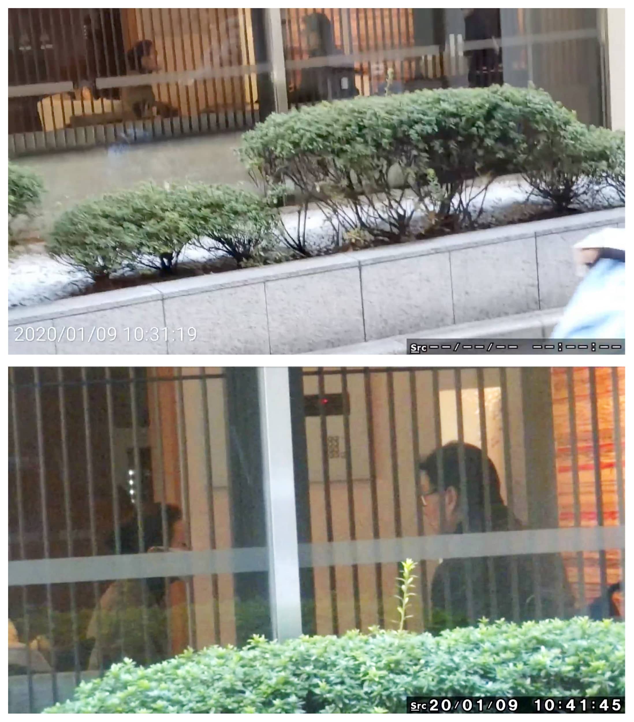 一茂バカ息子 江角マキコ