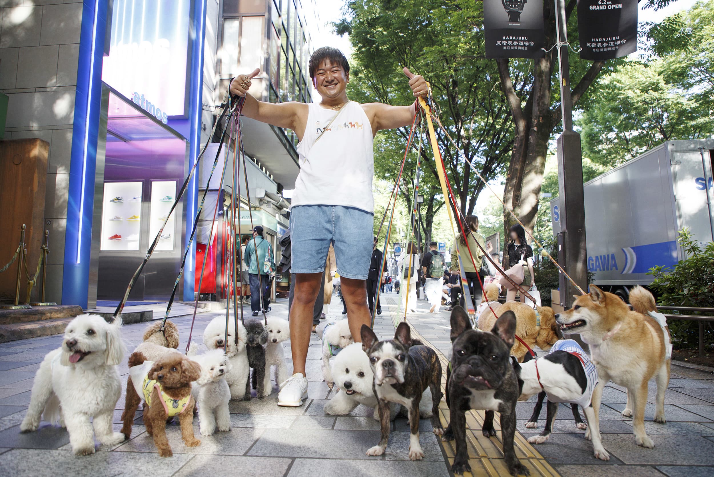 都心のド真ん中で10匹以上のワンちゃんを連れ…表参道をザワつかせる