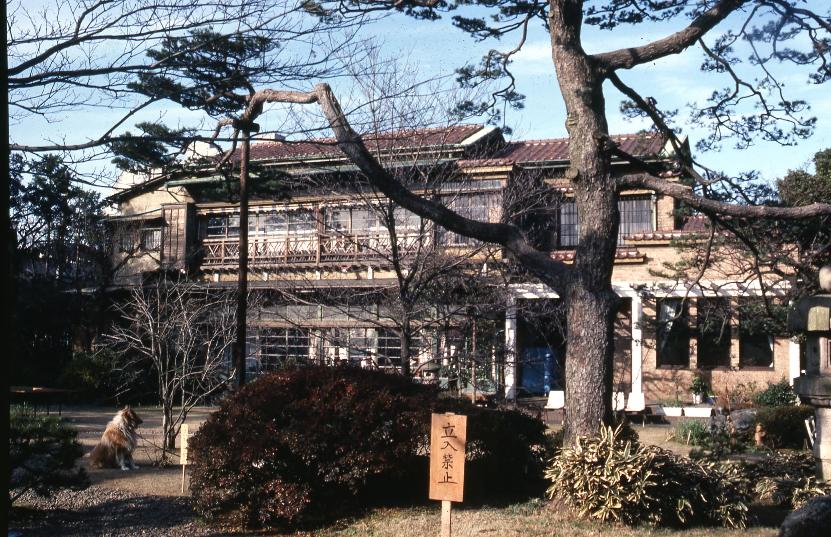 2ページ目）「政局の中心舞台」が焼失…報道カメラマンが密着・目撃した