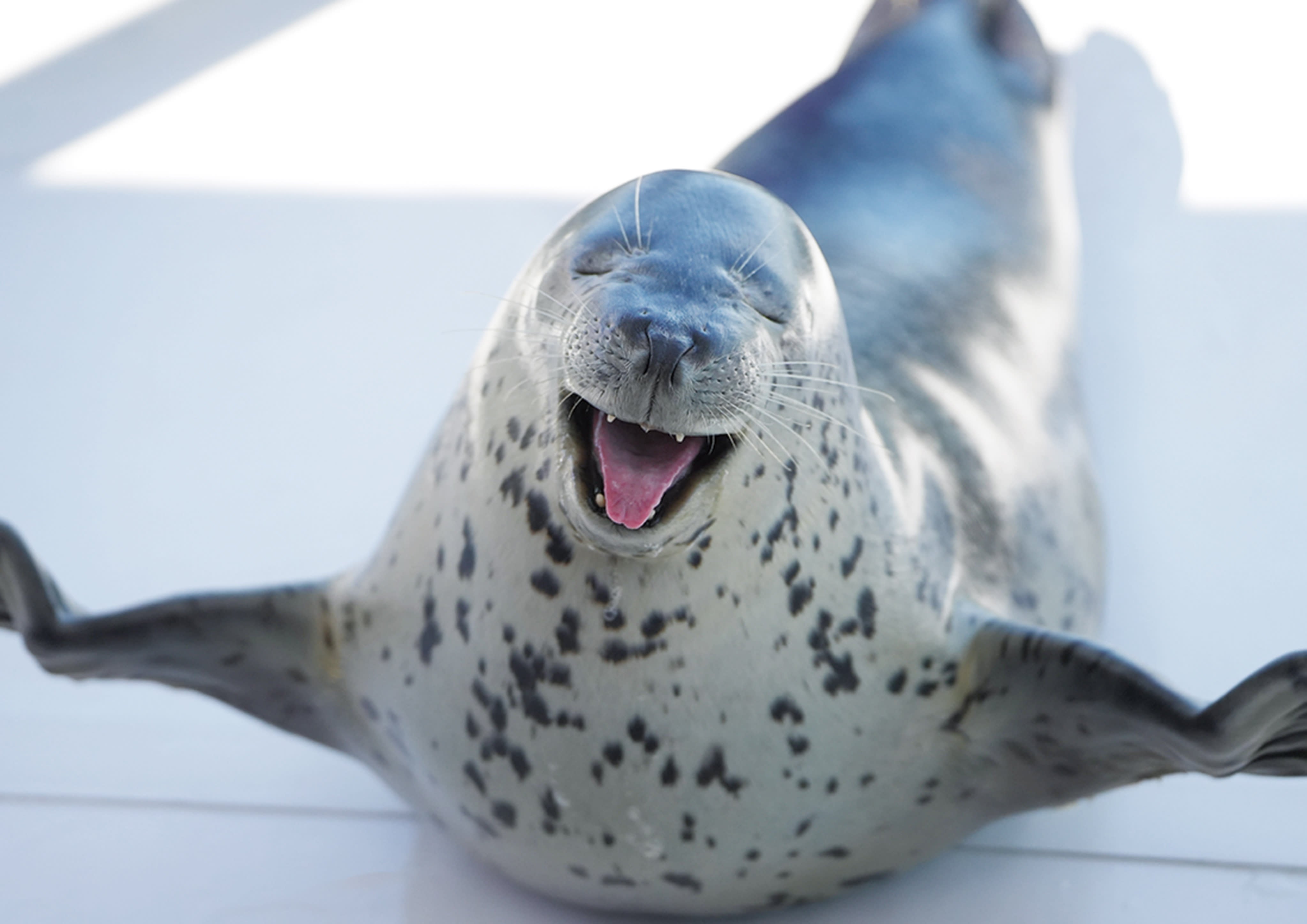 b2ac1fd35721bade5813f0f19c4058