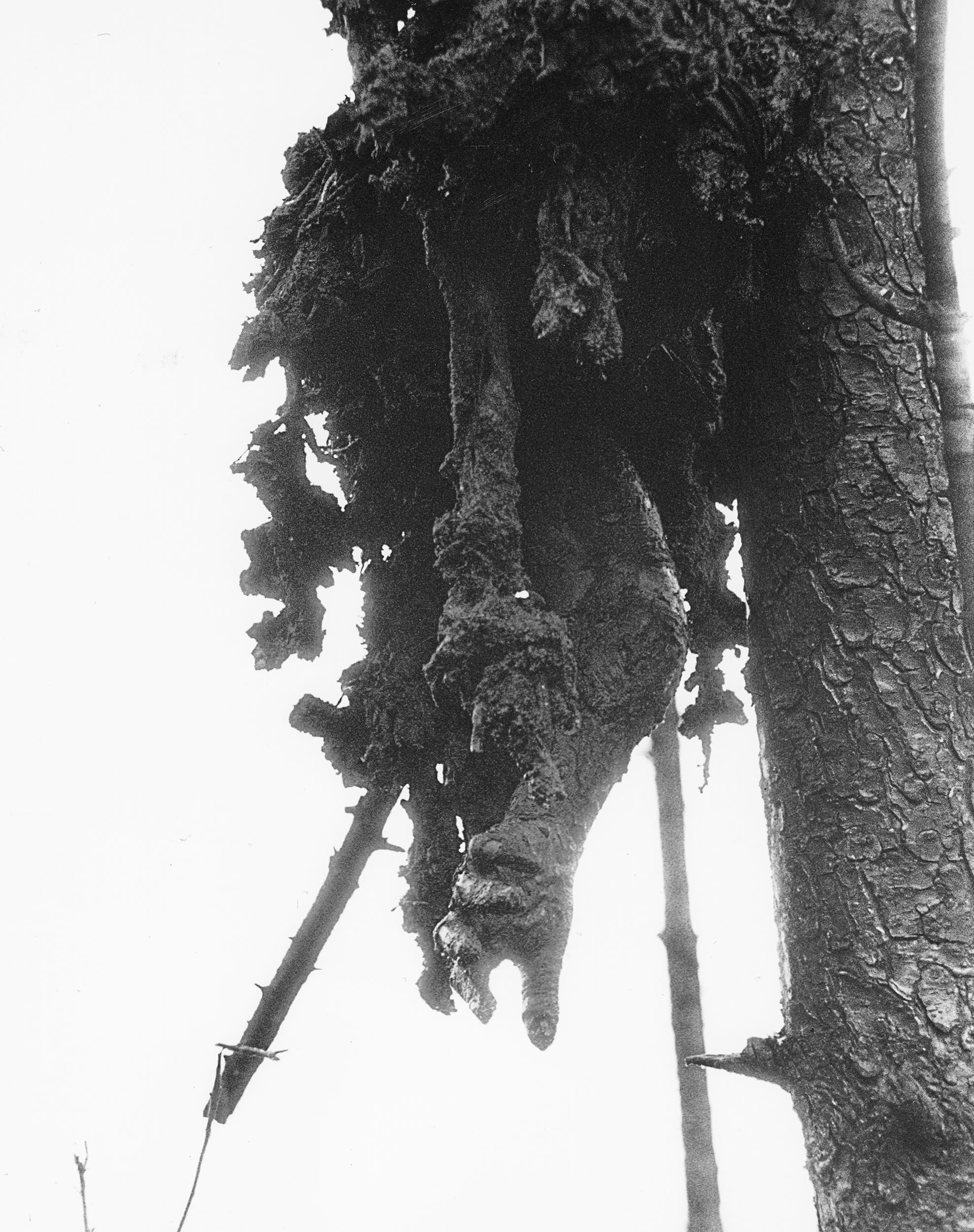 追悼企画】「日航ジャンボ機墜落事故」発生から40年…写真と証言で紡ぐ