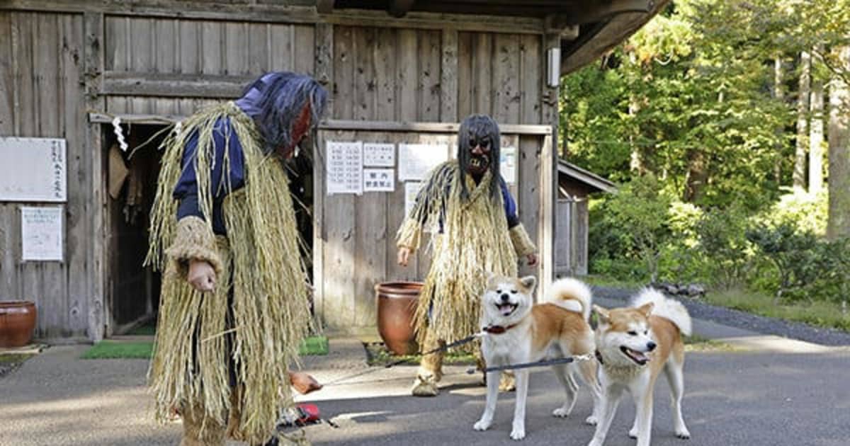 祝・無形文化遺産！ ナマハゲと天然記念物秋田犬が激レアコラボ