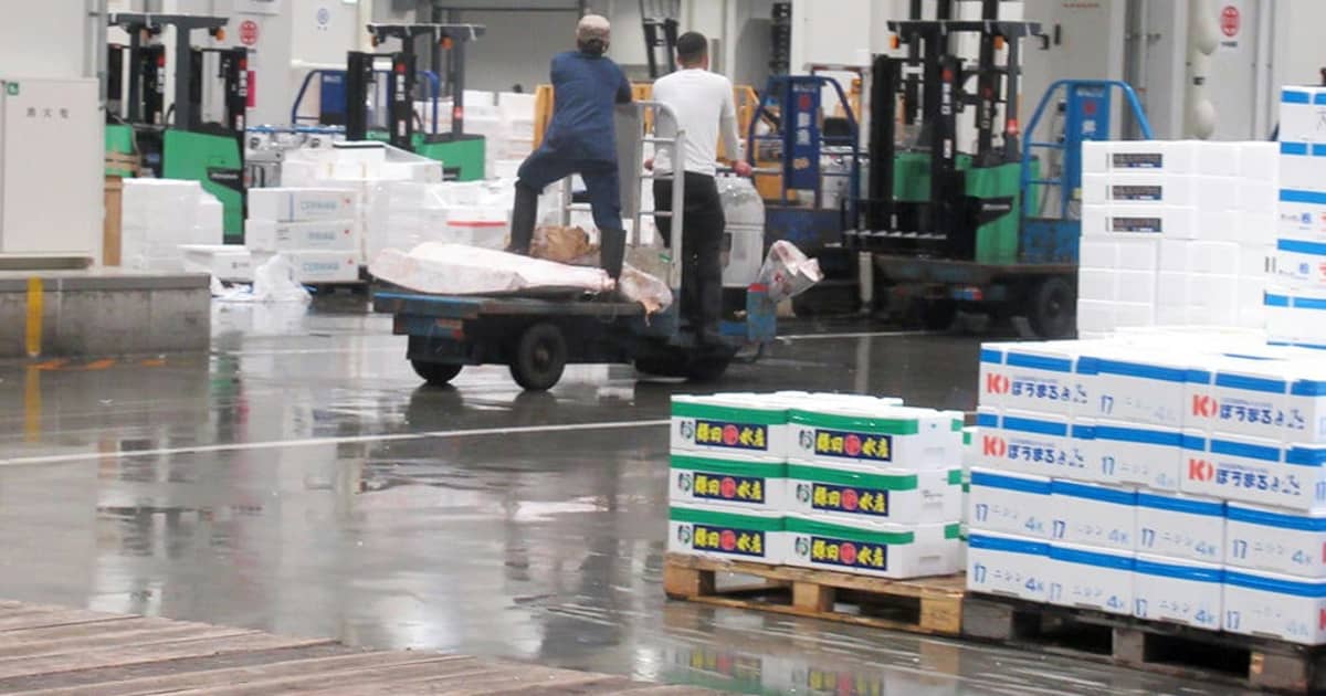 豊洲市場の「無法地帯化」が止まらない。二人乗り、スピード超過… FRIDAYデジタル