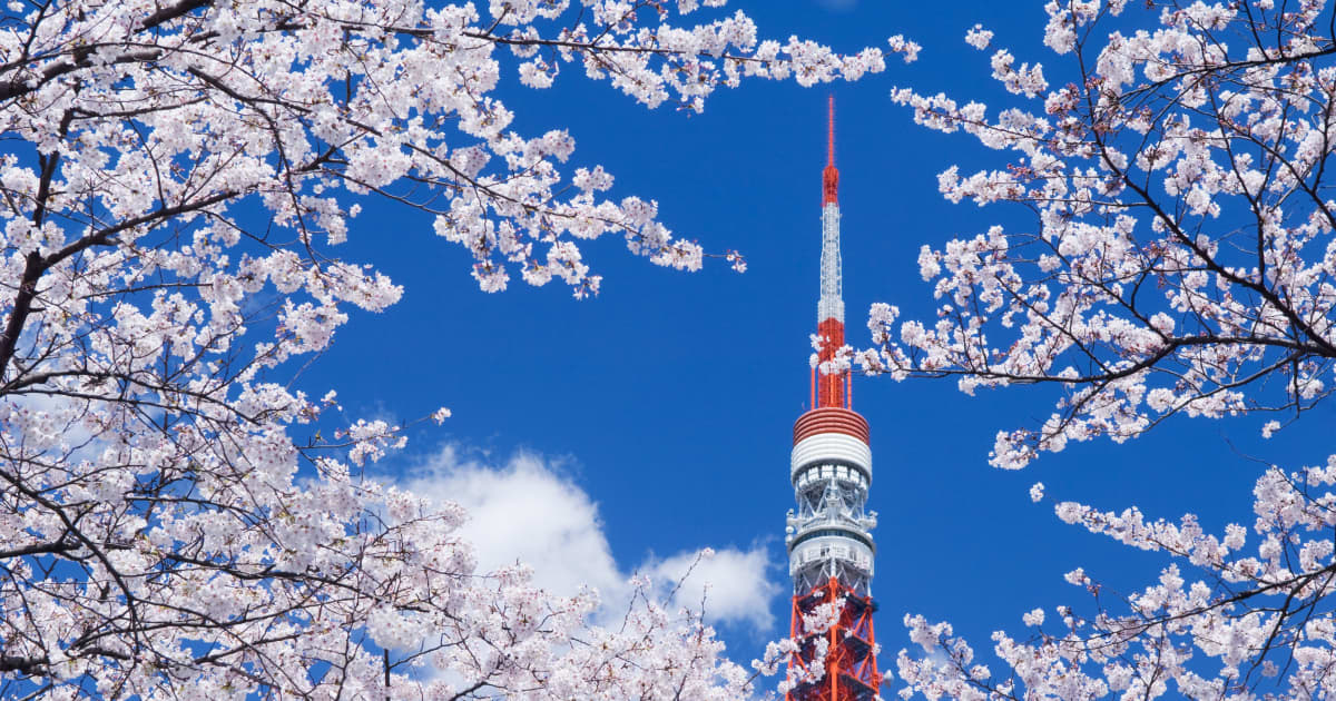 なぜ桜前線は「北上」しなくなったのか…桜の開花時期に異変が！ 2100年までに起こりうること | FRIDAYデジタル