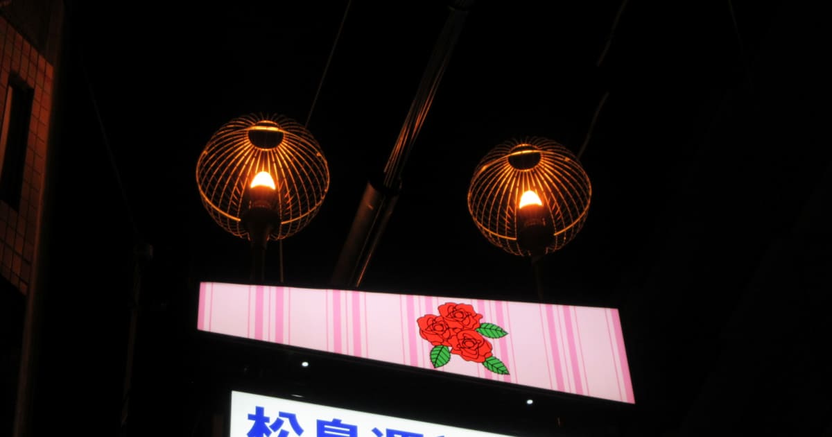 テーマパーク〟飛田新地にはない〝秘境感〟」日常空間に溶け込んだ歓楽街 大阪・松島新地の夜と昼 | FRIDAYデジタル