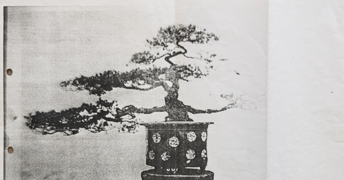 あわや枯死の危機も！ 德川家光の「樹齢500年の盆栽」をなぜか都立