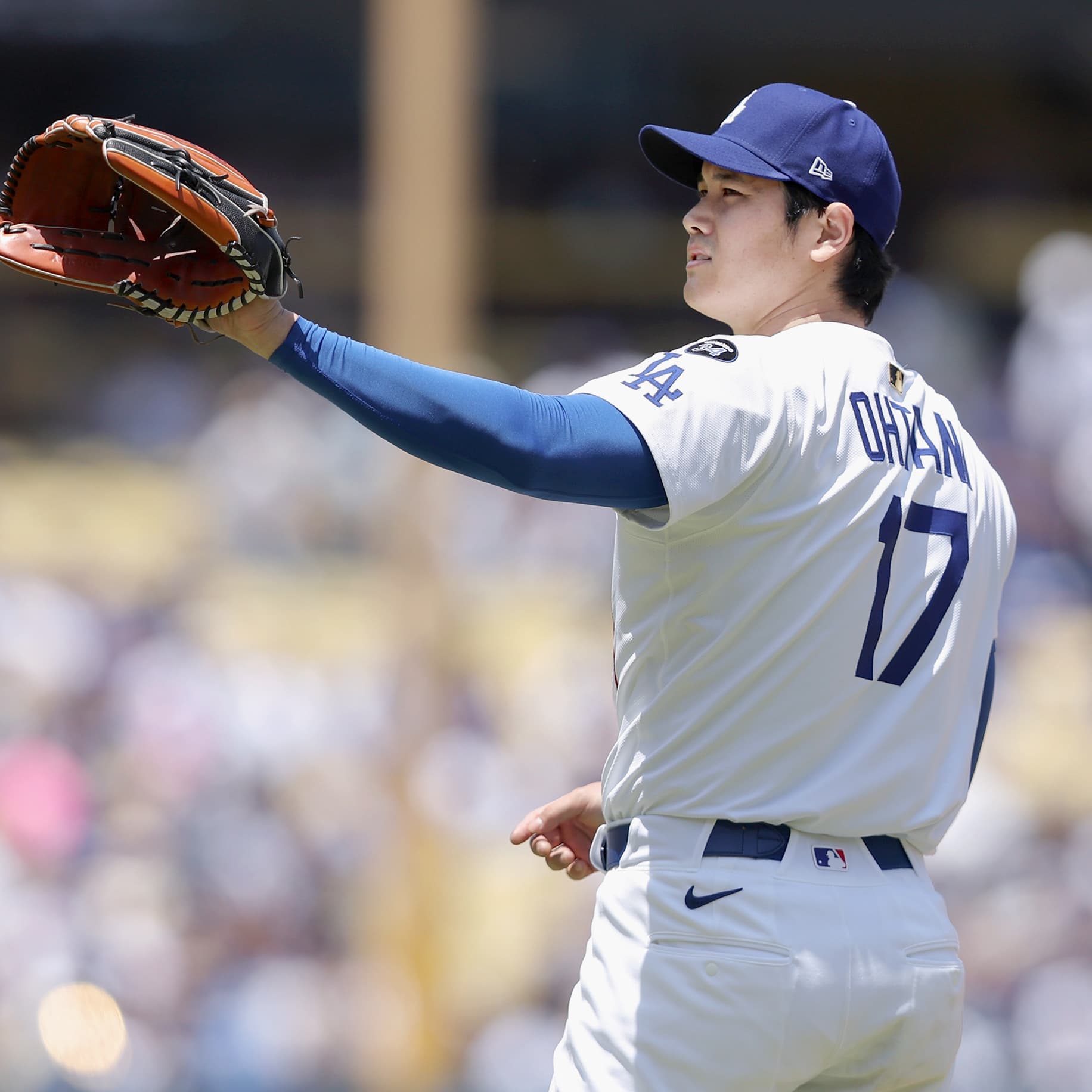 真宗大谷派の革新運動 真宗大谷派の革新運動: 白川党・井上豊忠のライフヒストリー