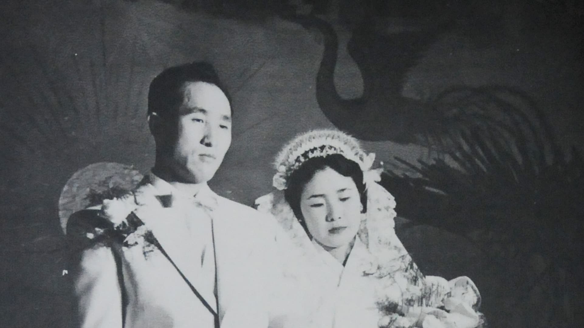 統一教会の内部を撮り続けたフォトジャーナリスト「秘蔵写真」公開