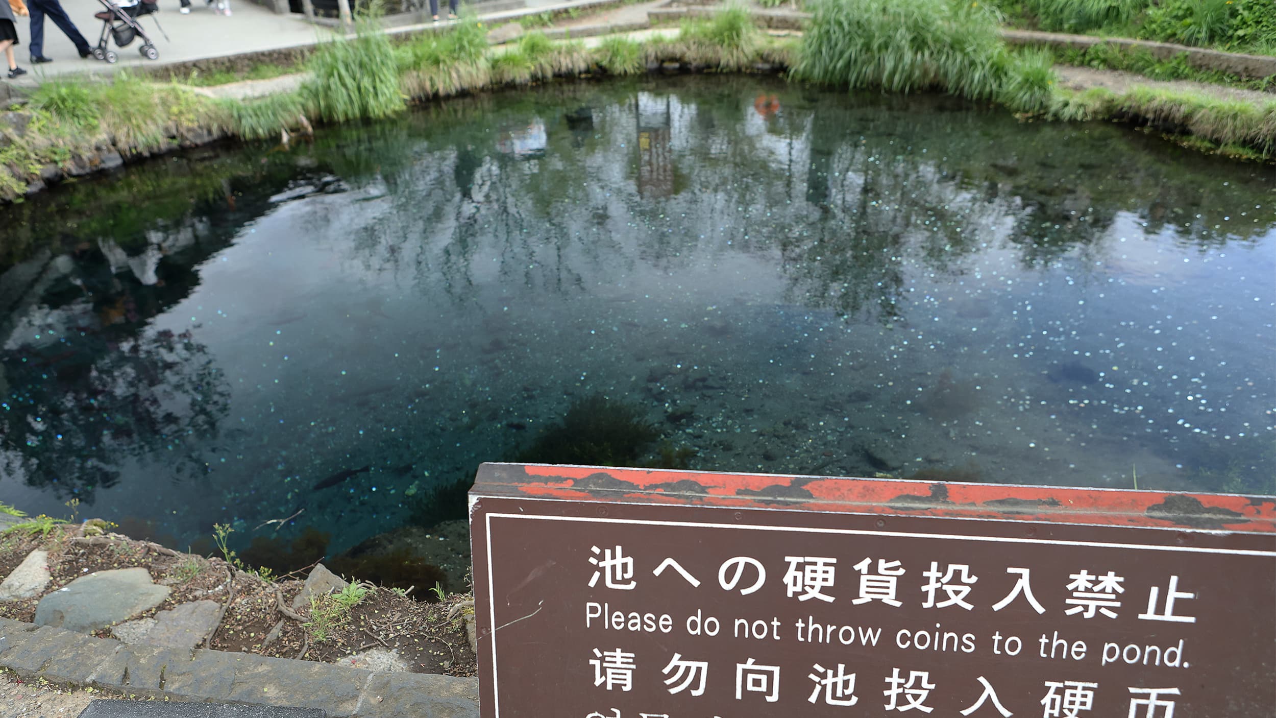 人気の景勝地が…山梨・「忍野八海」がインバウンド客の大量投げ銭で