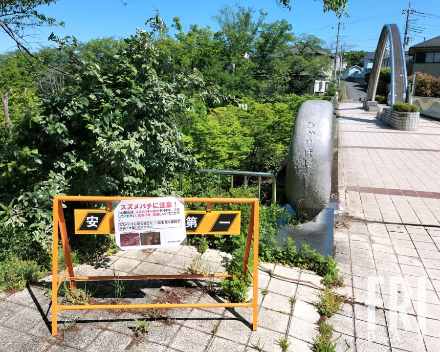 埼玉・飯能の住宅街にクマが出た!? 現地を訪れて判明した“相次ぐ目撃情報”の衝撃の顛末（FRIDAYデジタル）｜dメニューニュース（NTTドコモ）