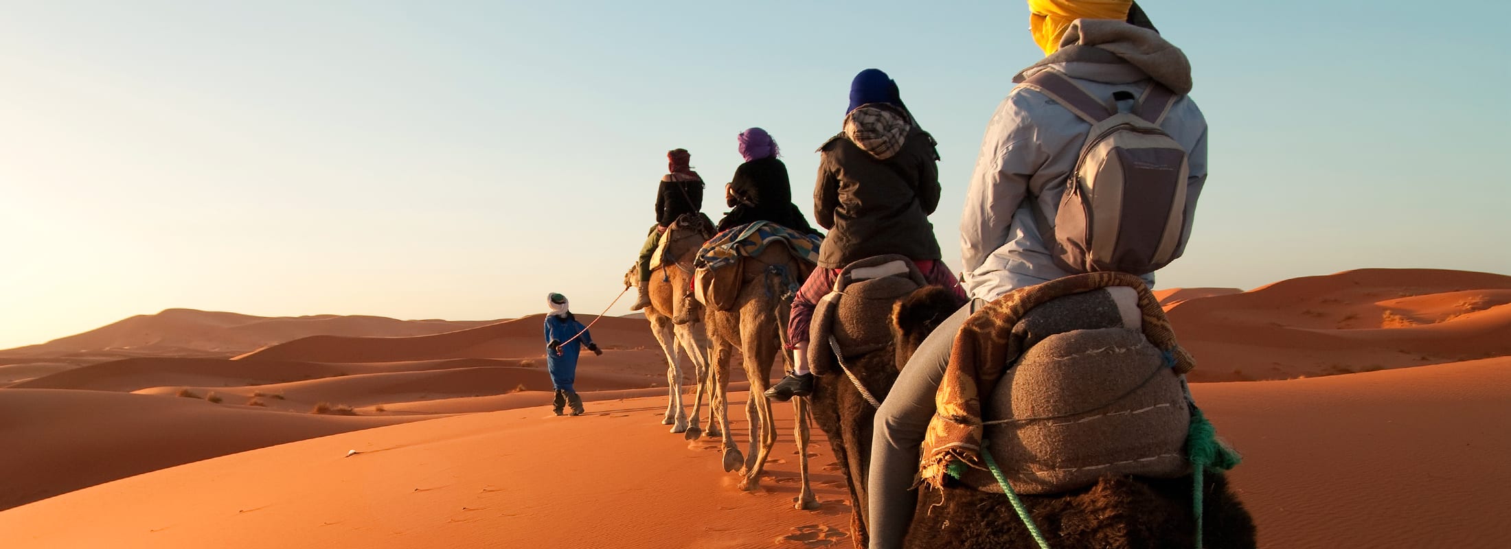 Custom Group Tours