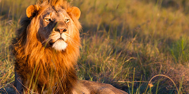 South Africa