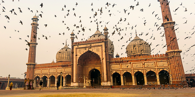 Dazzling Dubai & India