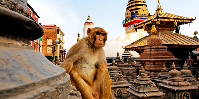 Nepal