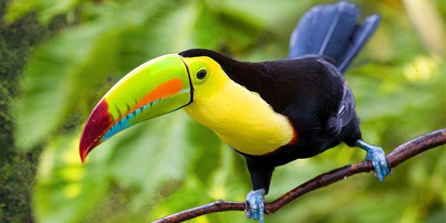 Costa Rica