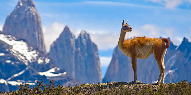 Patagonia