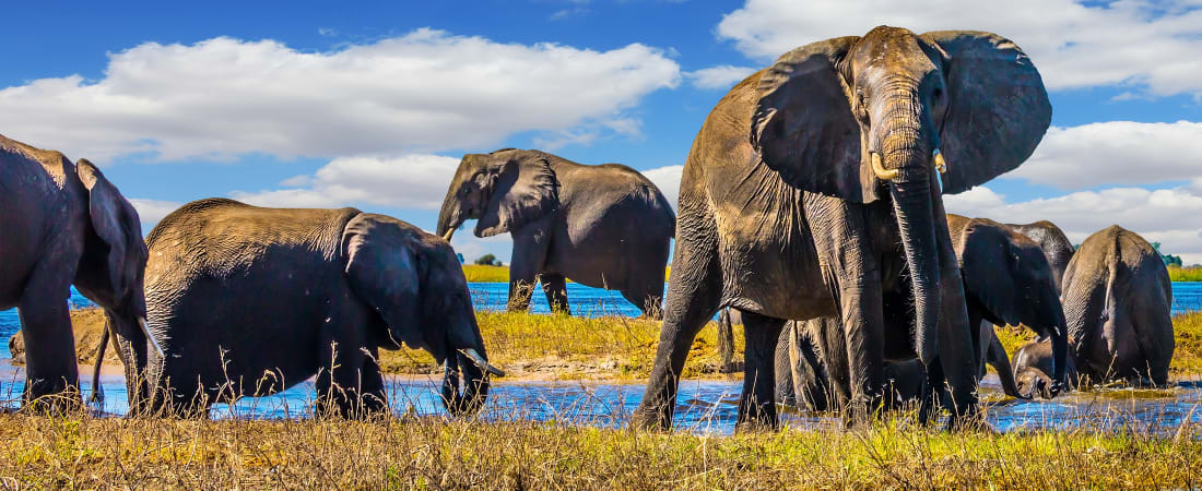 Highlights of Southern Africa