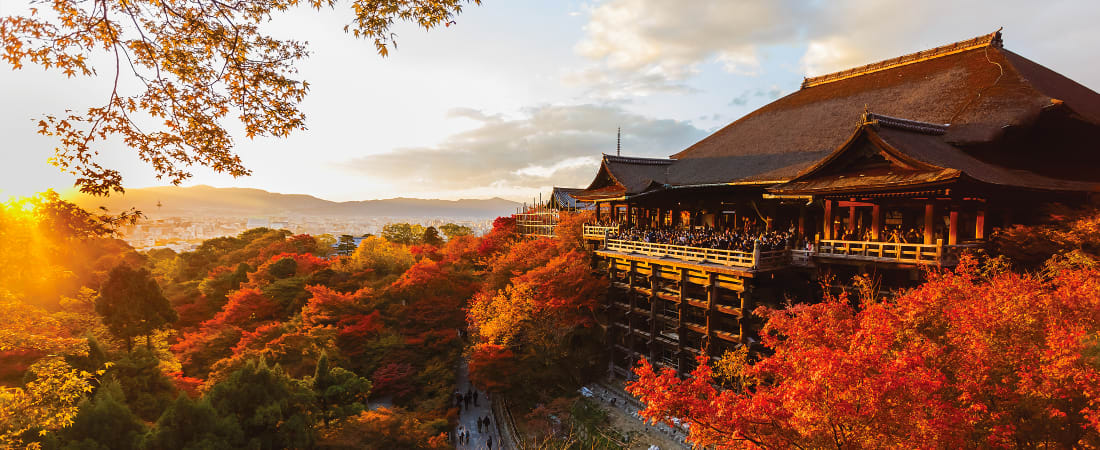 Japan Panorama