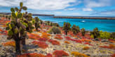 Experience the wonders of the Galapagos Islands