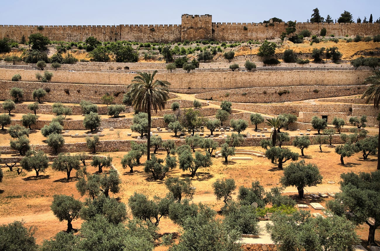 Mount of Olives