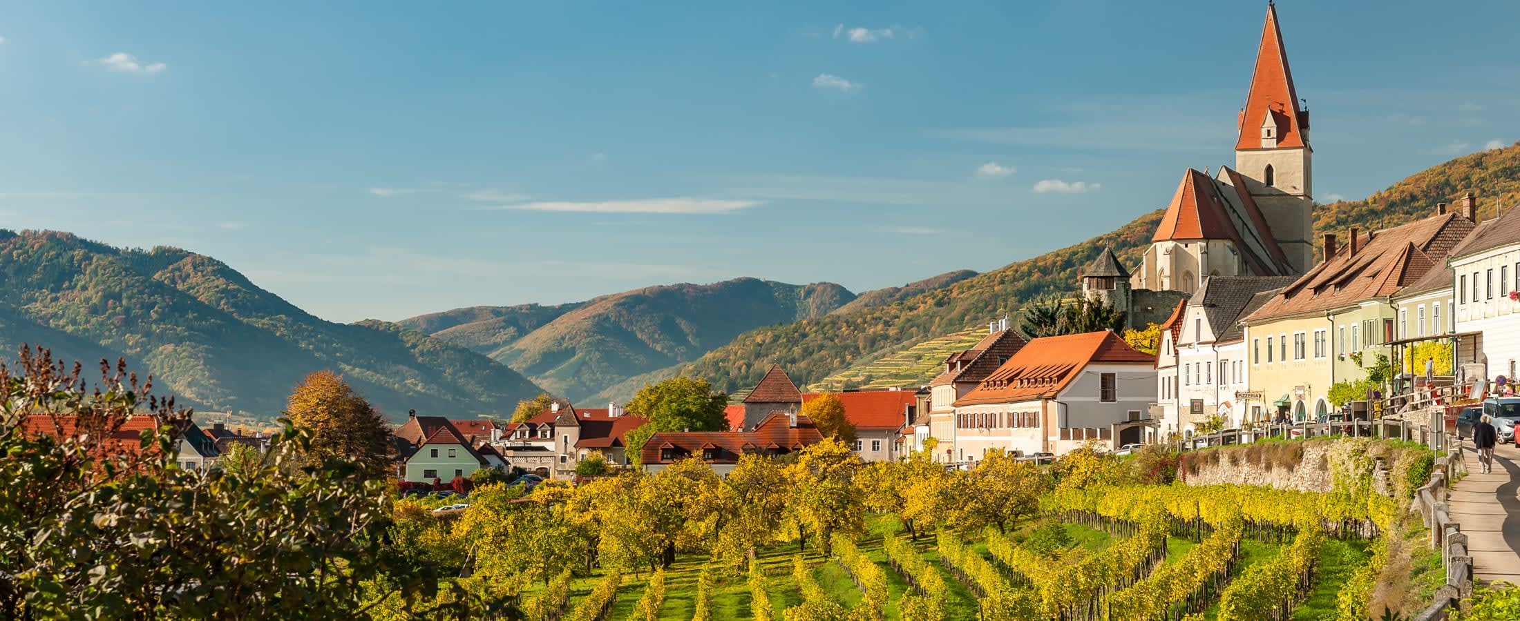 Vineyard in Weissenkirchen