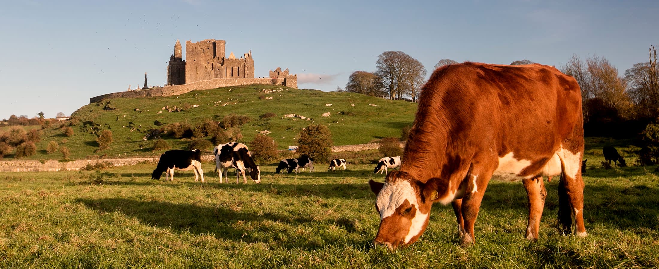 Rock of Cashel