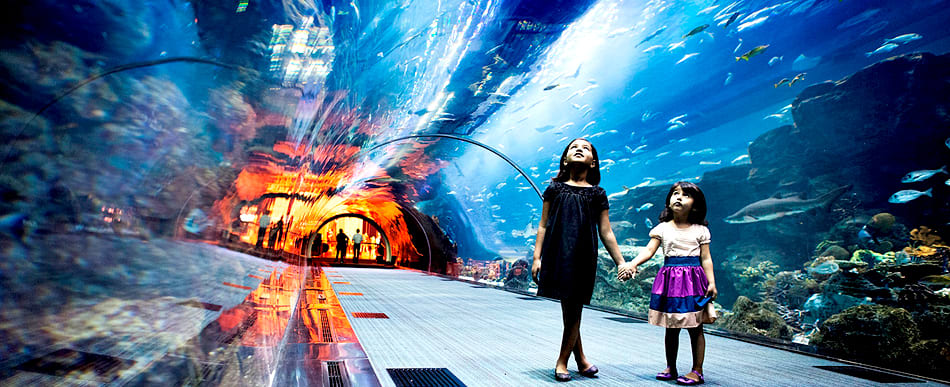 Dubai Aquarium