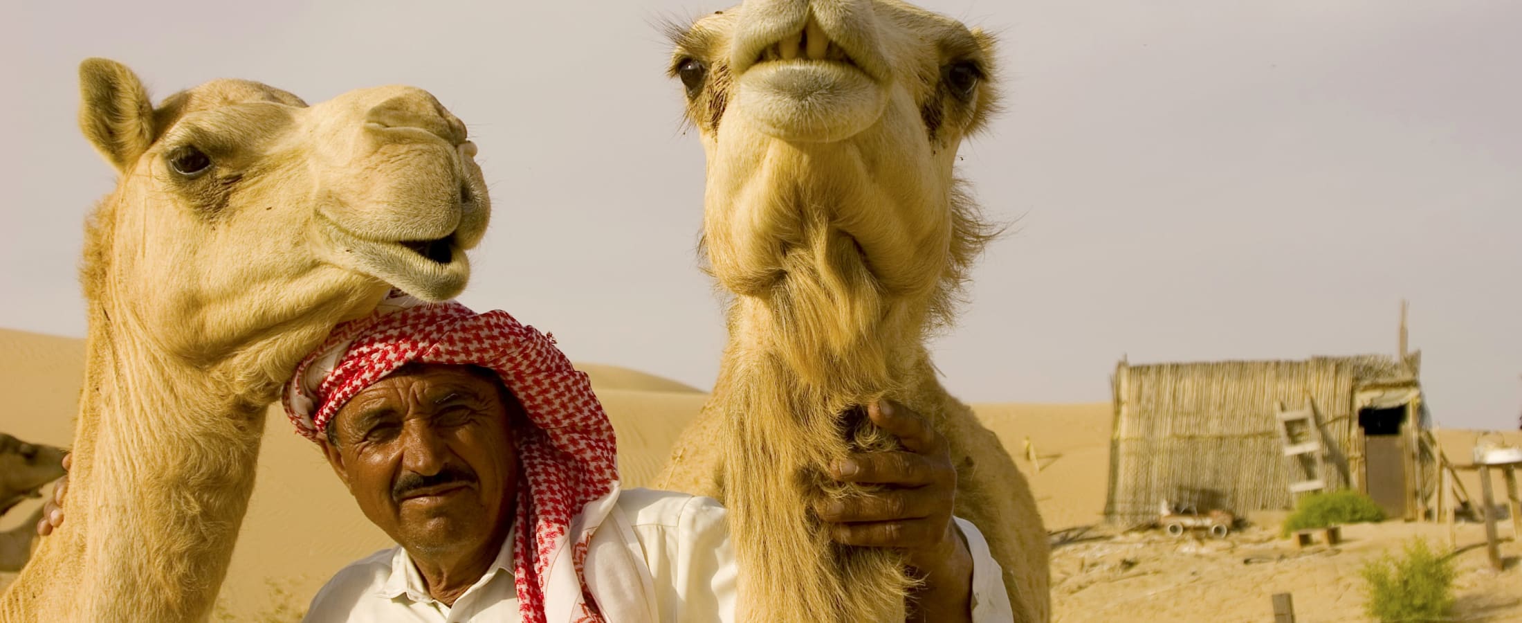 Camel farmer