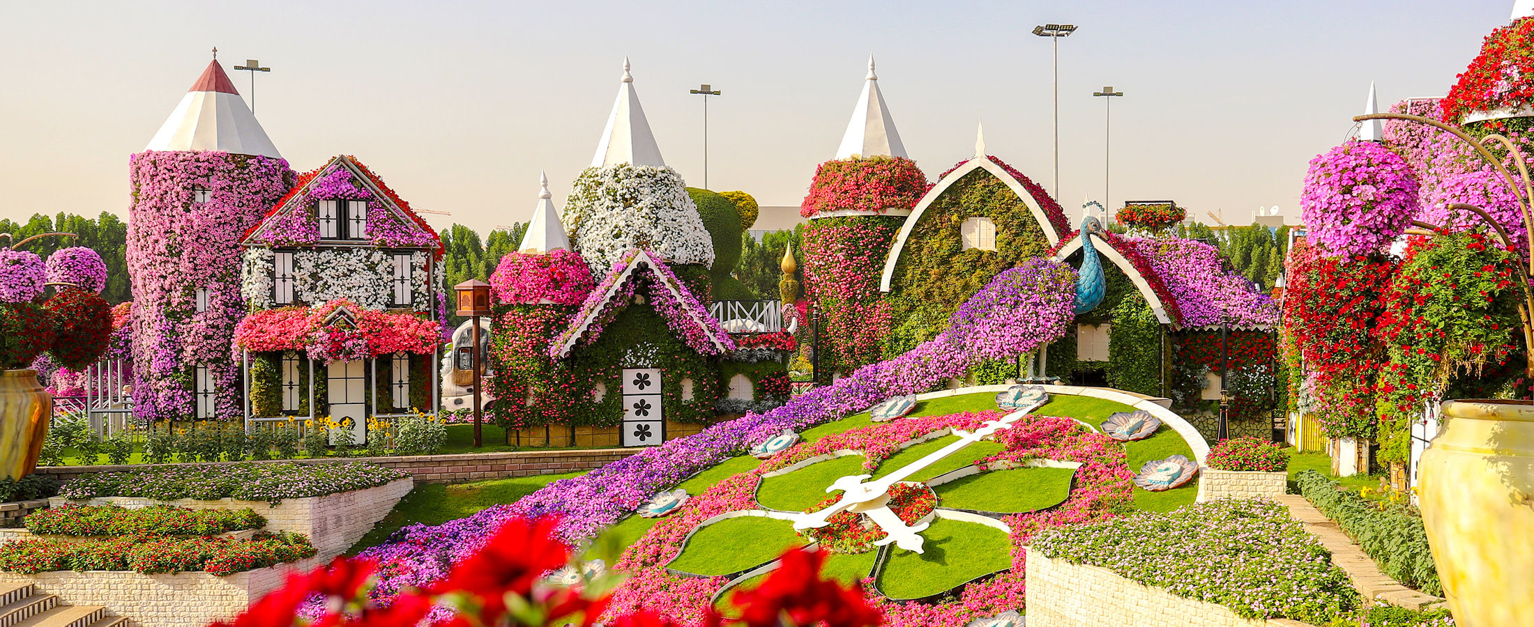 Miracle Garden, Dubai