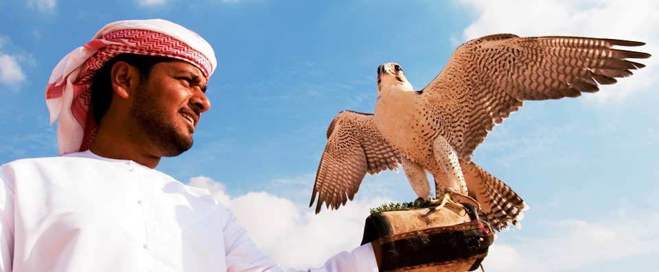 Man and his falcon