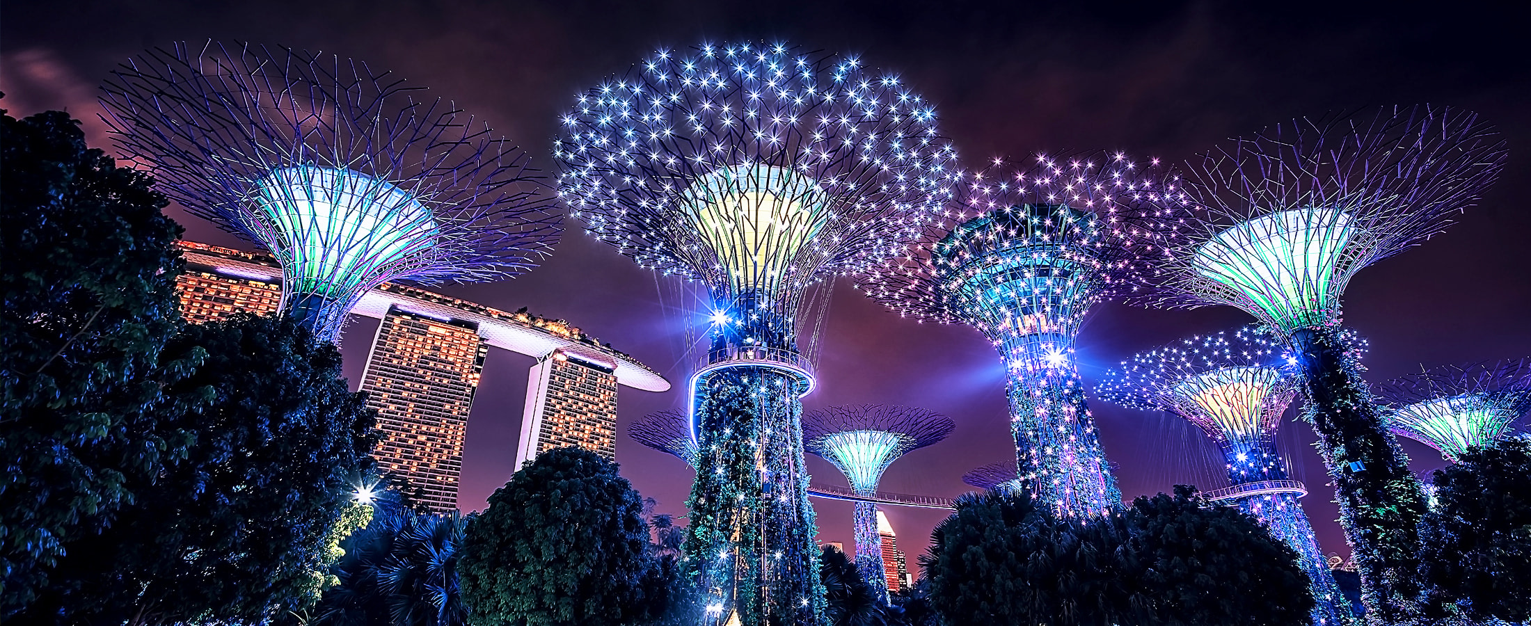 Supertrees