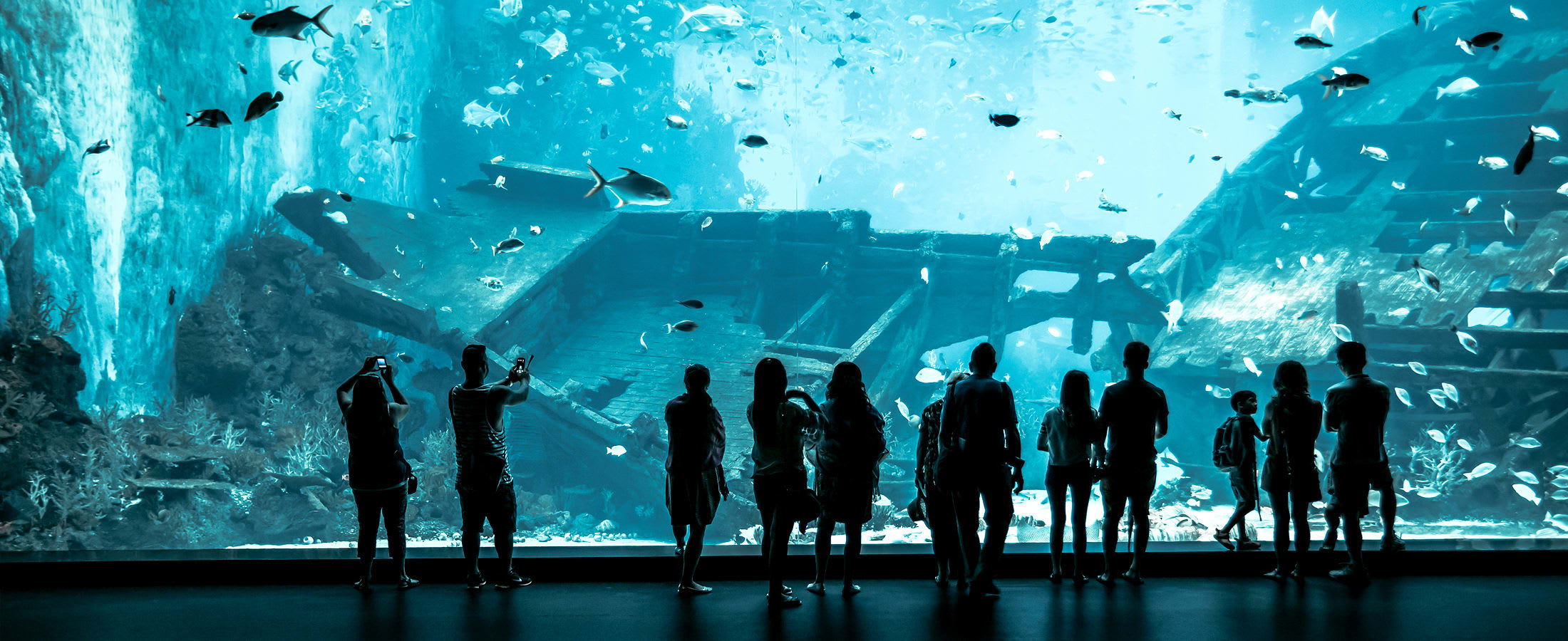 S.E.A. Aquarium, Singapore