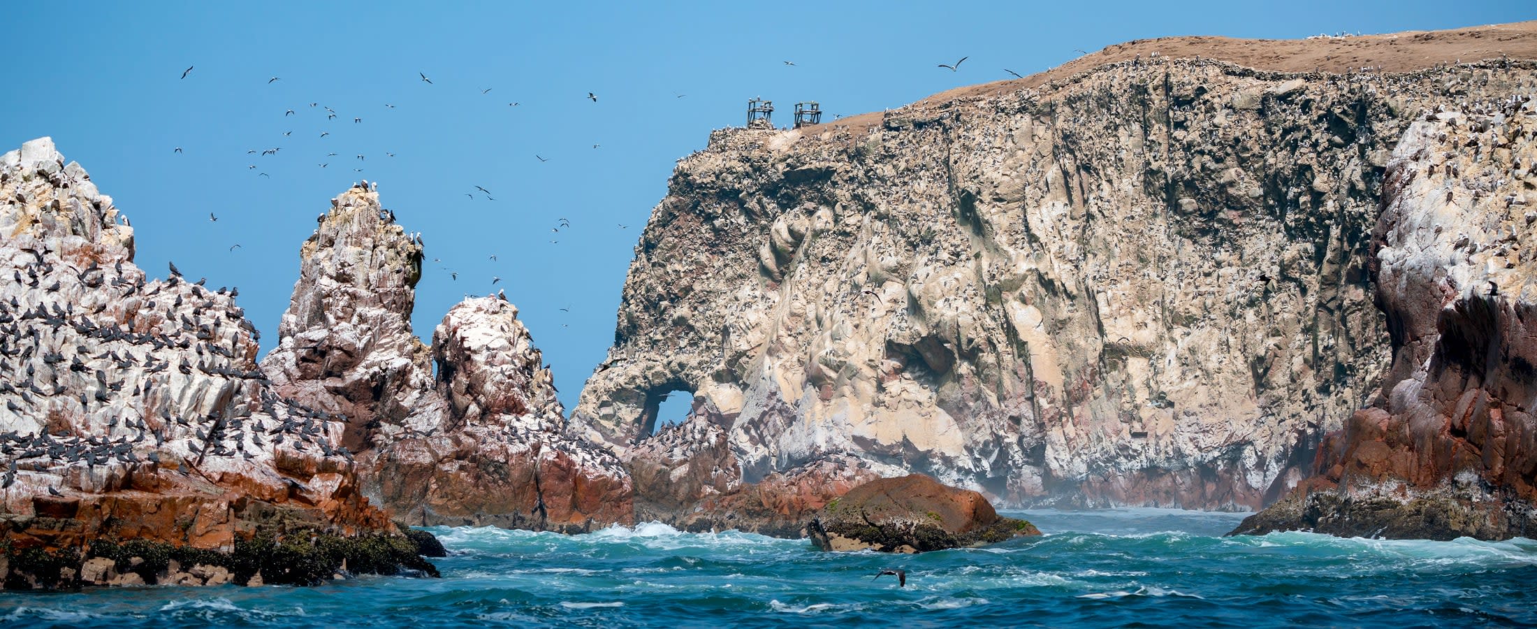 Ballestas Islands panorama